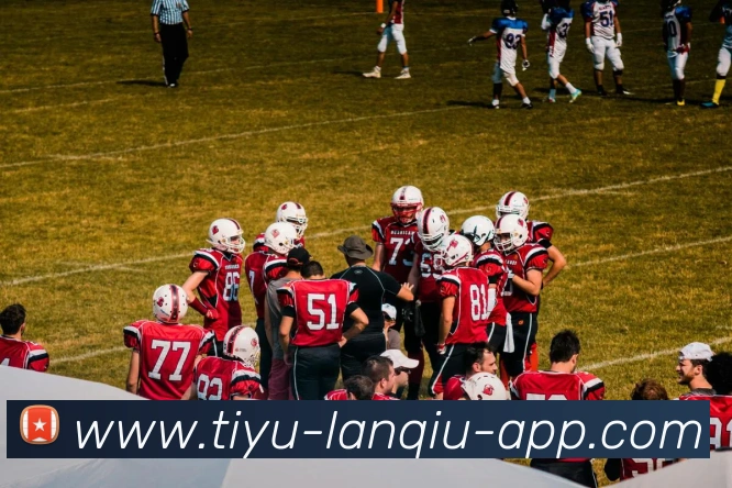 App Interface Preview