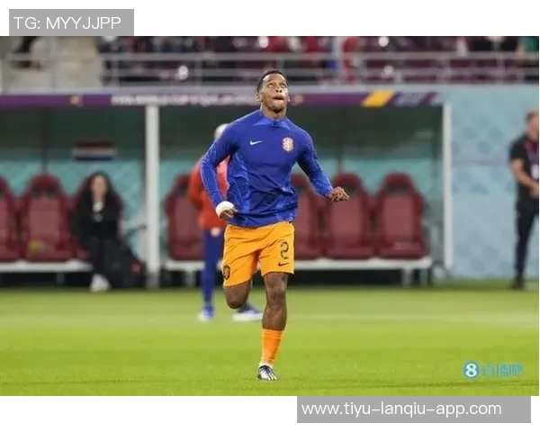 前裁判解析廷伯点球争议：身体接触延续至禁区上半身犯规更易被识别